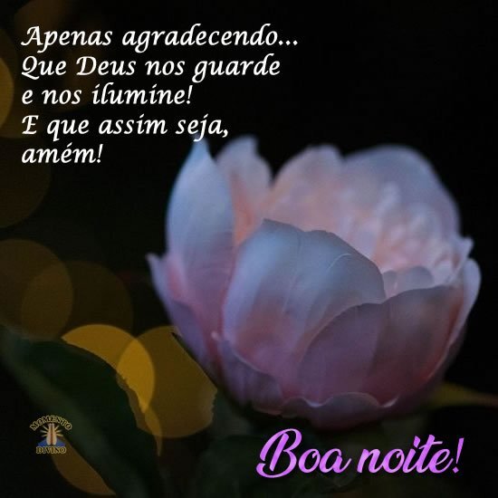 Boa noite