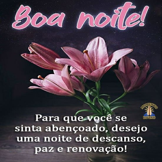 Boa noite