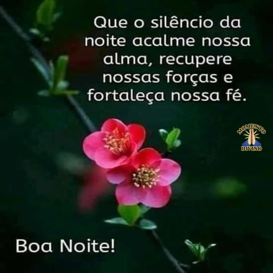 Boa Noite