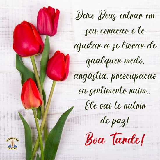 Boa Tarde