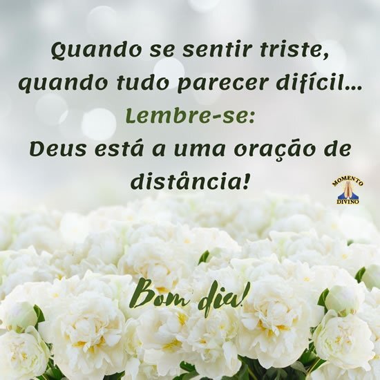 Bom dia