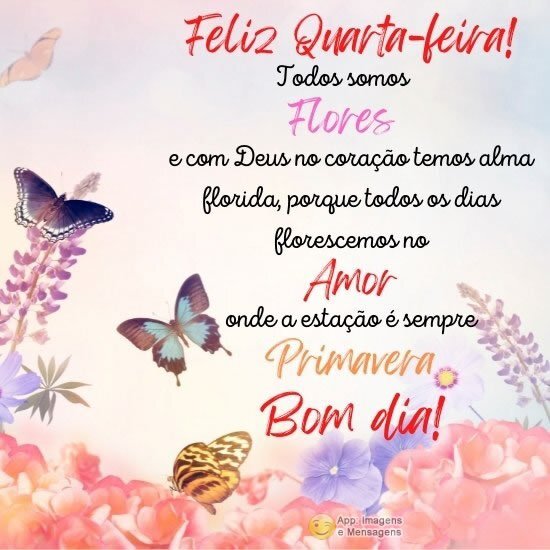 Feliz Quarta-feira