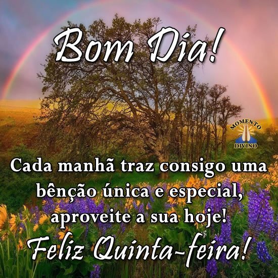 Feliz quinta-feira