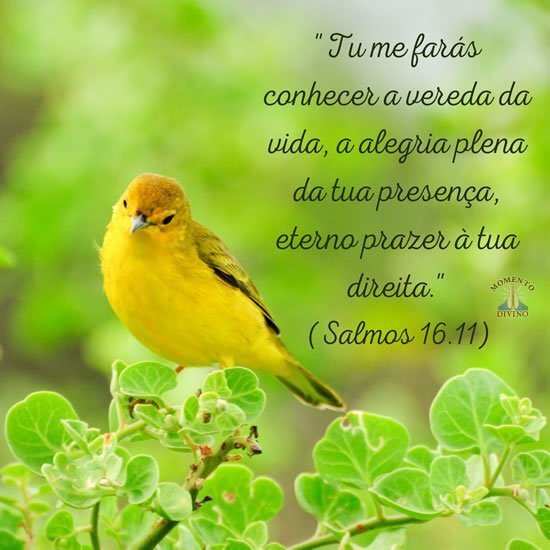 Salmos 16.11