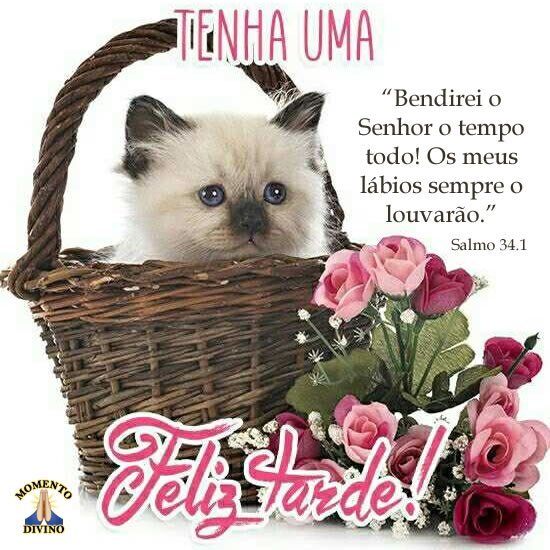 Tenha uma feliz tarde