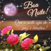 Boa Noite