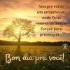 Bom dia pra você
