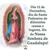 Dia de Nossa Senhora de Guadalupe