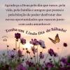 Lindo Dia de Sábado