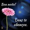 Boa noite