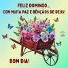 Feliz Domingo
