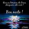 Boa noite