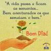 Bom dia