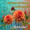 Bom dia