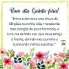 Bom dia Quinta-feira