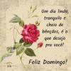 Feliz Domingo