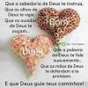 Bom dia