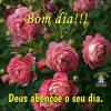 Bom dia
