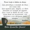 Boa Quarta-feira