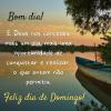 Feliz Domingo