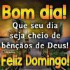 Feliz Domingo