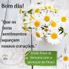 Lindo final de semana