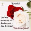 Boa terça-feira