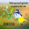 Bom dia