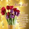 Bom dia