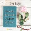 Feliz Domingo