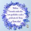Vivendo cada dia com gratidão